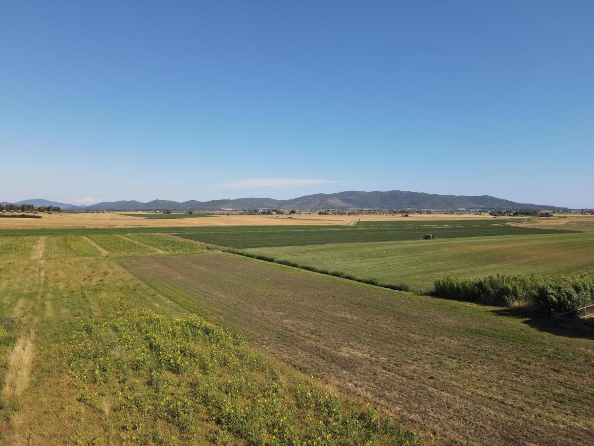 Locanda Le Mandriane Albinia Kültér fotó