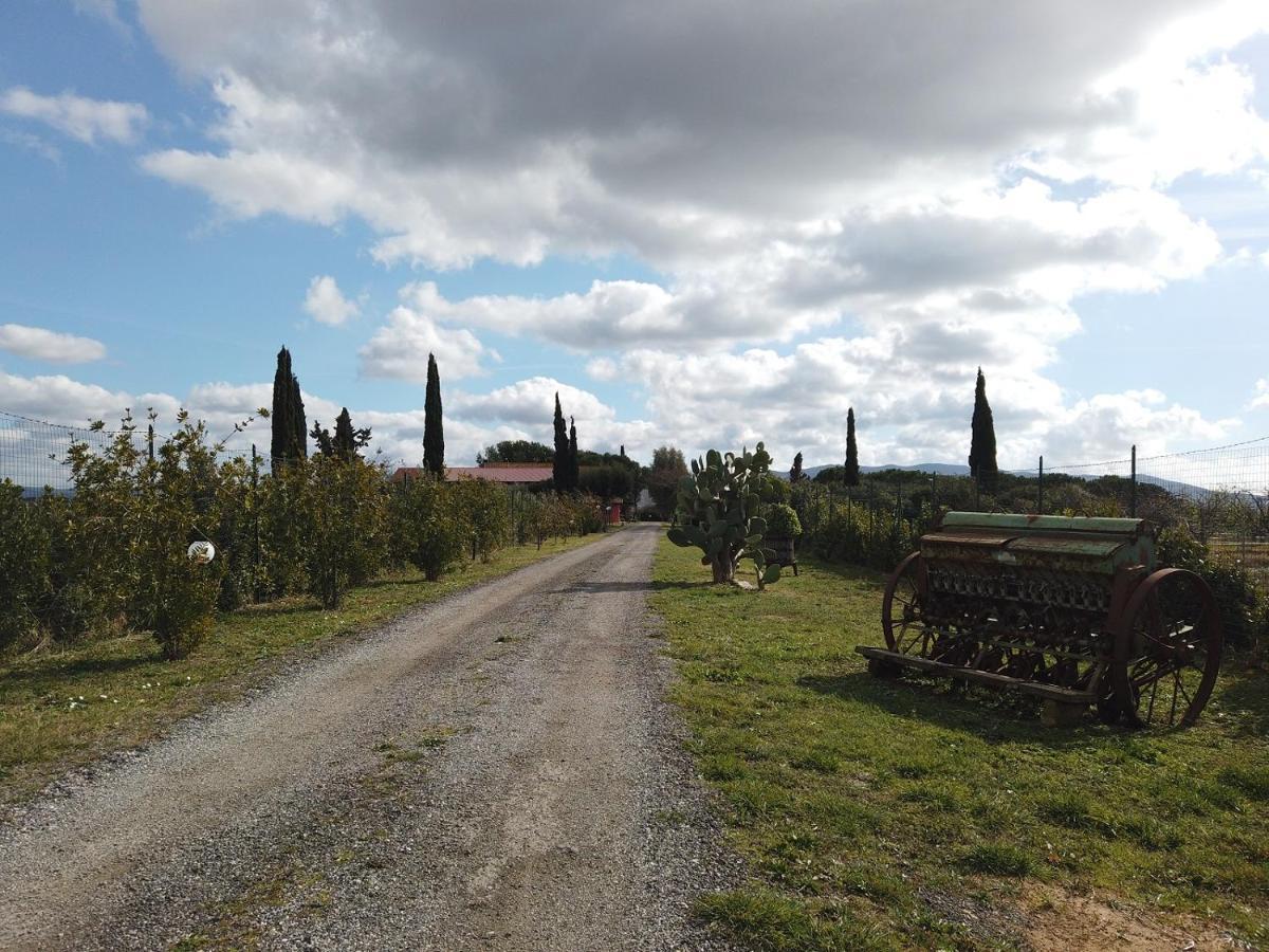 Locanda Le Mandriane Albinia Kültér fotó